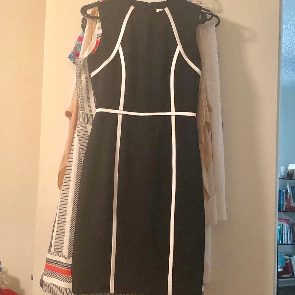 Calvin Klein Shift Dress.